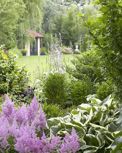 Biosphoto | 414246 | View of lawn country garden | &copy; Visions Pictures / Biosphoto