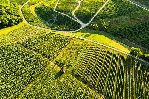 Biosphoto | 2558145 | Vineyard AOC, Le Vernois, Jura France | &copy; Stéphane Godin / Biosphoto