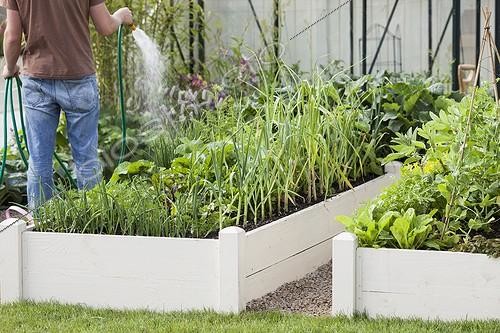 Biosphoto | 2046455 | Watering of a squarefoot kitchen garden  | &copy; Jean-Michel Groult / Biosphoto