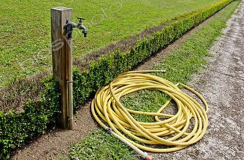 Biosphoto | 2587245 | Watering the garden, Jardin potager de Bonnétable, Sarthe, France | &copy; Michel Gile / Biosphoto