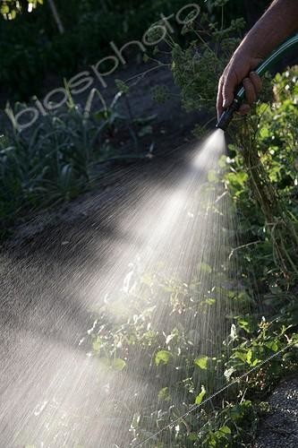 Biosphoto | 1417490 | Watering the kitchen garden | &copy; Patricia Méaille / Biosphoto
