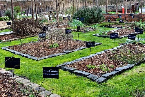 Biosphoto | 2580126 | Winter vegetable garden at the Arche de la Nature, Le Mans Métropole, Sarthe, Pays de la Loire, France | &copy; Michel Gile / Biosphoto
