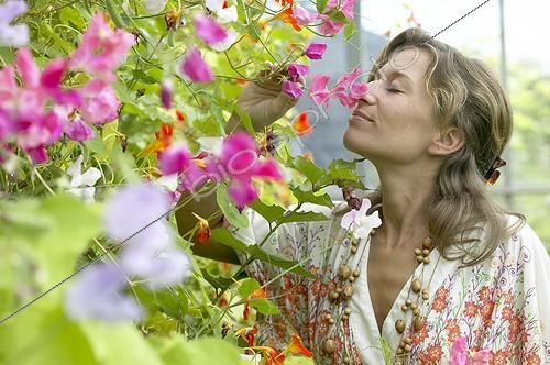 Biosphoto | 1094017 | Woman smelling sweet peas | &copy; Visions Botanical / Visions Pictures / Biosphoto