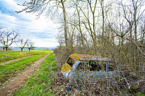 Biosphoto | 2628310 | Wreck of a Simca Aronde on a country road, Chevinay, Rhône, France. | &copy; Philippe Lebeaux / Biosphoto