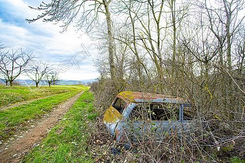 Biosphoto | 2628310 | Wreck of a Simca Aronde on a country road, Chevinay, Rhône, France. | &copy; Philippe Lebeaux / Biosphoto
