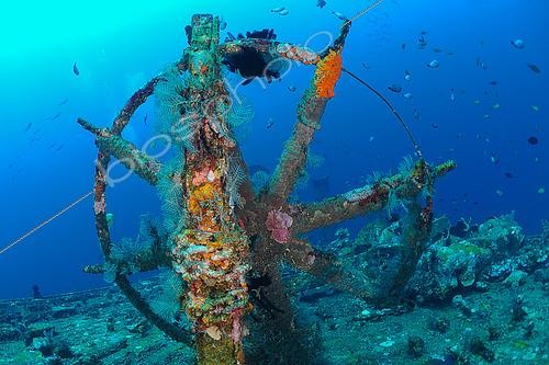 Biosphoto | 2578892 | Wreck of the Boga, patrol vessel used by the Indonesian government voluntarily sunk in September 2012, to provide additional wreckage for diving in the area to become an artificial reef and allow diving to develop in Kubu. The wreck now lies between 13 and 31m, with the bow just a few fin strokes from the shore. The current can be strong at this site. Tulamben, Bali, Indonesia. | &copy; Jean Cassou / Biosphoto