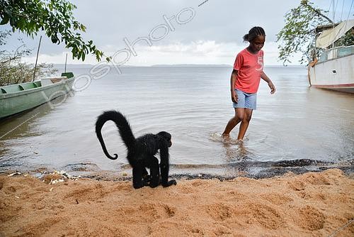 Biosphoto | 2467378 | Young black spider monkey (Ateles paniscus) at the water's edge on a beach with a girl in French Guiana | &copy; Stéphanie Meng / Biosphoto