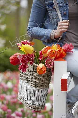 Biosphoto | 2536121 | Young lady in spring park | &copy; Visions Pictures / Biosphoto