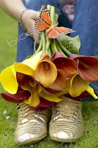 Biosphoto | 414827 | Zantedeschia bouquet | &copy; Visions Pictures / Biosphoto