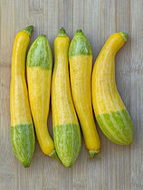 Biosphoto | 2623287 | Zucchini 'Zephyr' | &copy; Marie Aymerez / Biosphoto