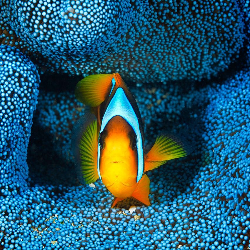 Underwater