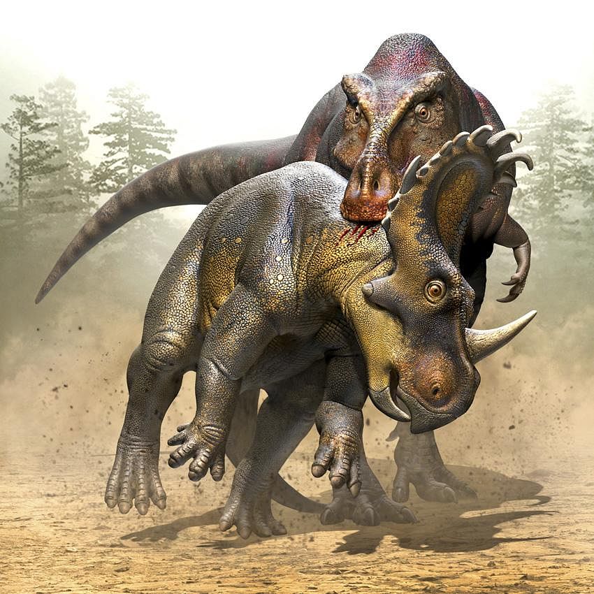 Prehistory / Paleontology