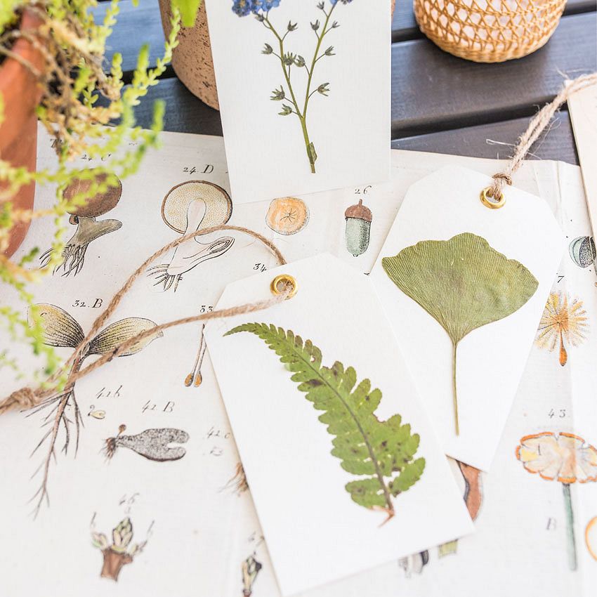 Décoration : que faire avec les souvenirs de vacances ?