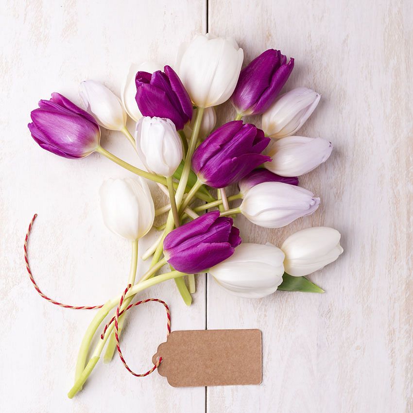 Green Ideas: tulips