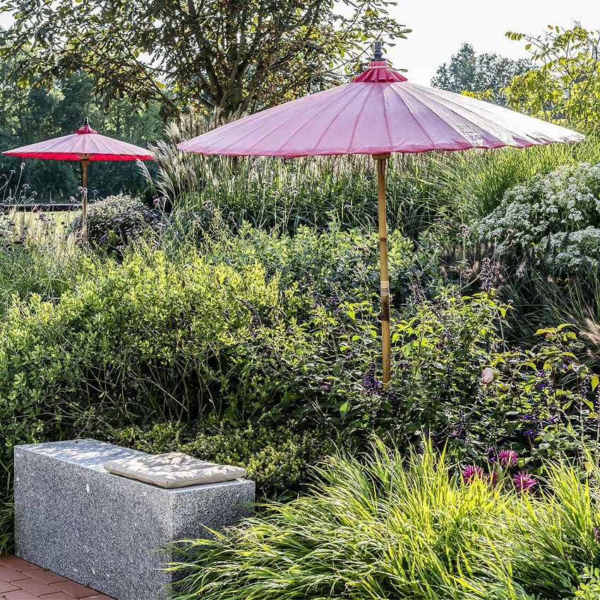 Visite de jardin : jardin privé de Petra Pelz