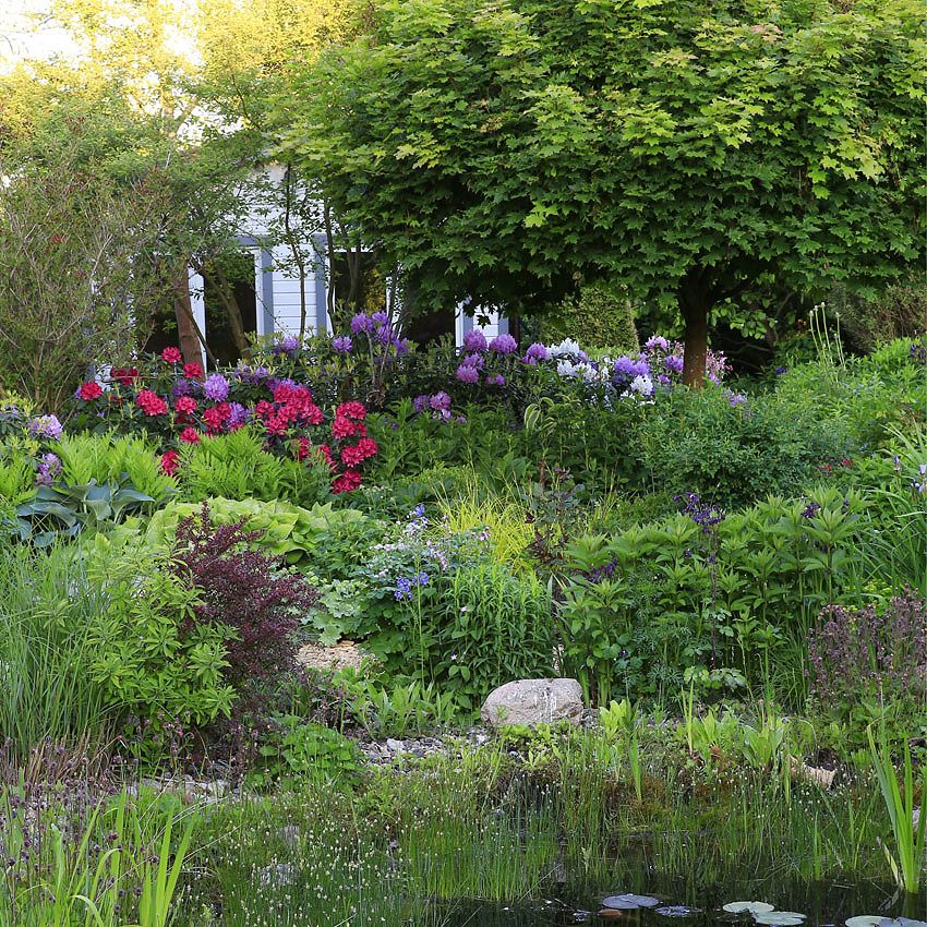 Visite de jardin : le jardin de vivaces de Lüdke en été
