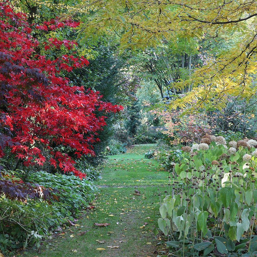 Visite de jardin : jardin de Hermann Maier et Sophie Rottenberger en automne