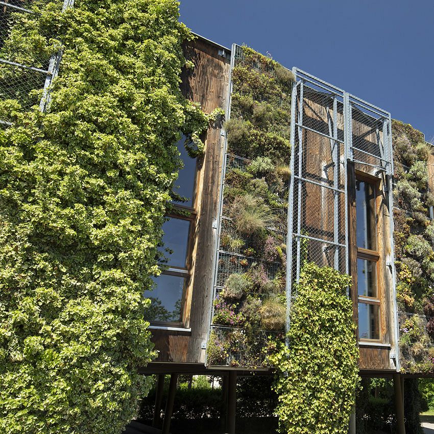 Green Ideas: green walls
