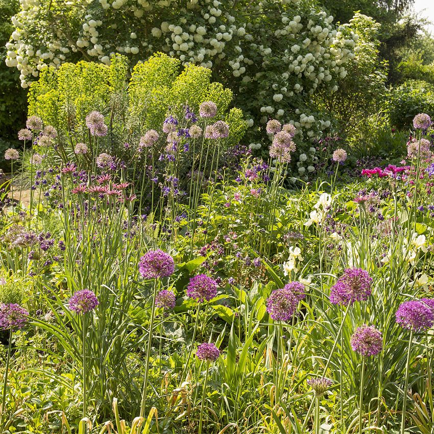 Visite de jardin : le jardin d'Anna Rahn en été