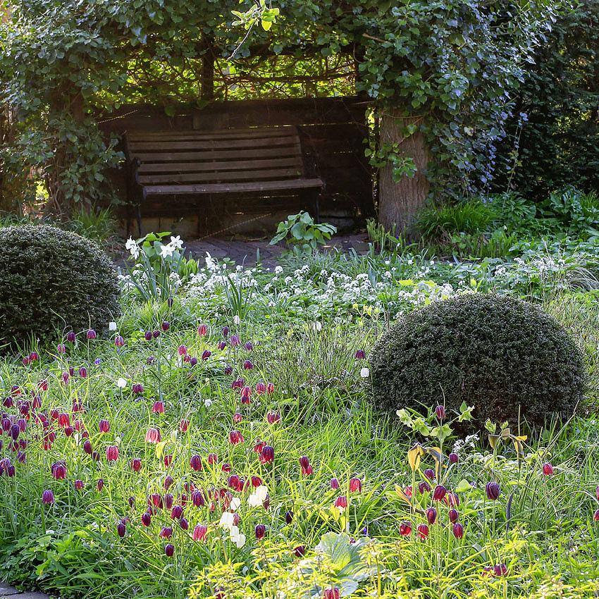 Visite de jardin : début du printemps dans le jardin Pristin