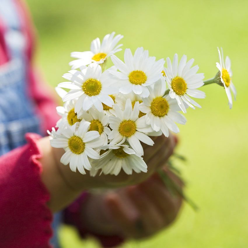 Décoration : bouquets de printemps