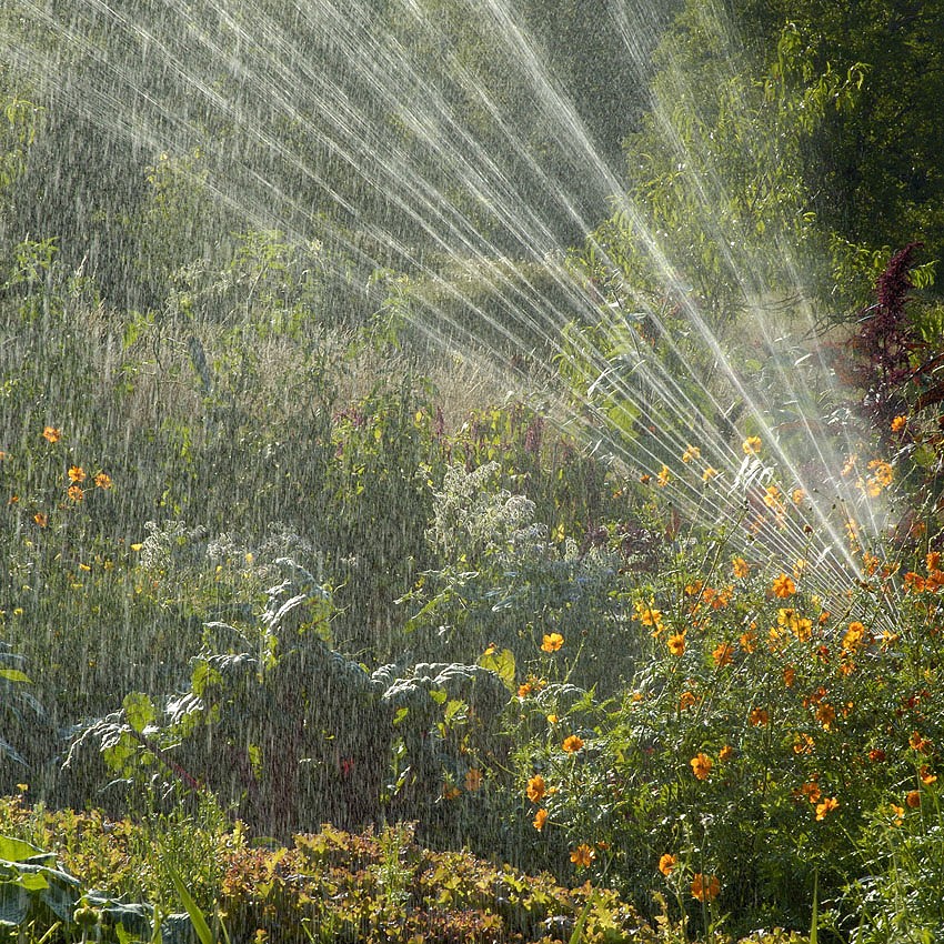Green Ideas:  Saving water
