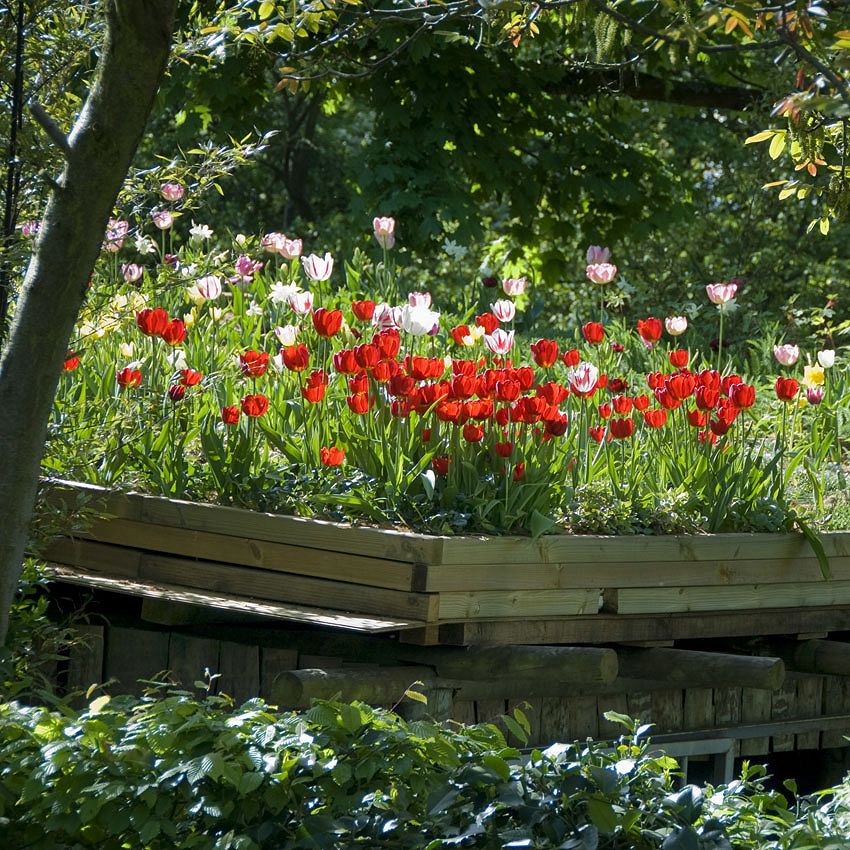 Garden Tour: gardens by Mister Risser