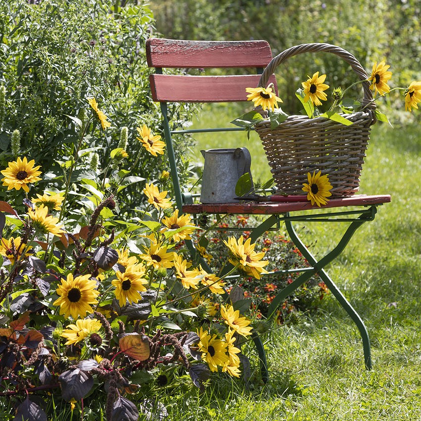 Garden & Deco