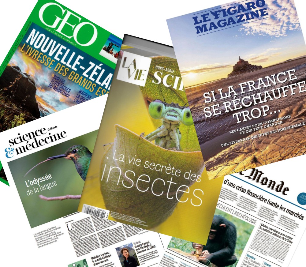 Publications