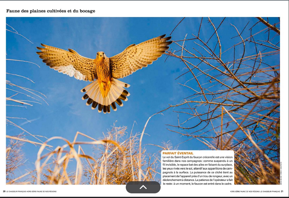Le Chasseur Français, septembre 2025. Photo Brian Bevan / Ardea / Biosphoto