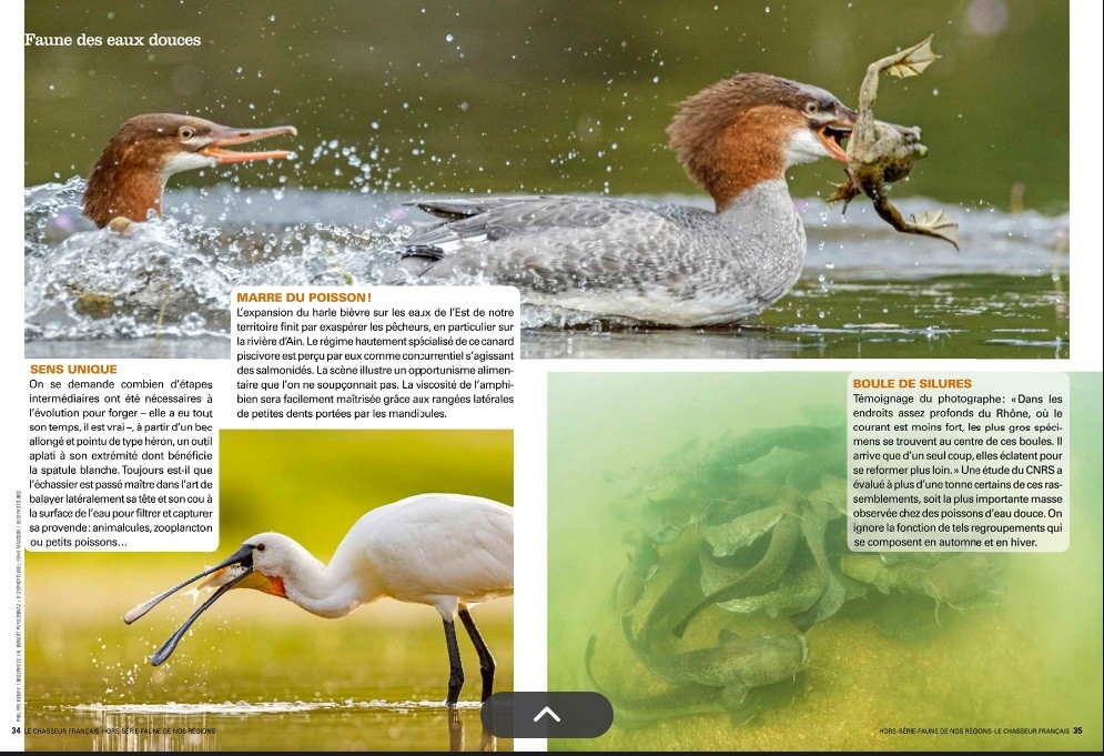 Le Chasseur Français, septembre 2025. Photos Philippe Henry, Benoît Personnaz, Rémi Masson / Biosphoto