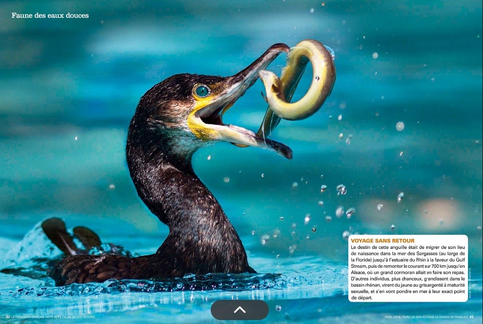 Le Chasseur Français, septembre 2025. Photo Michel Rauch / Biosphoto