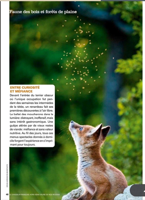 Le Chasseur Français, septembre 2025. Photo Ervin Horesnyík / Biosphoto