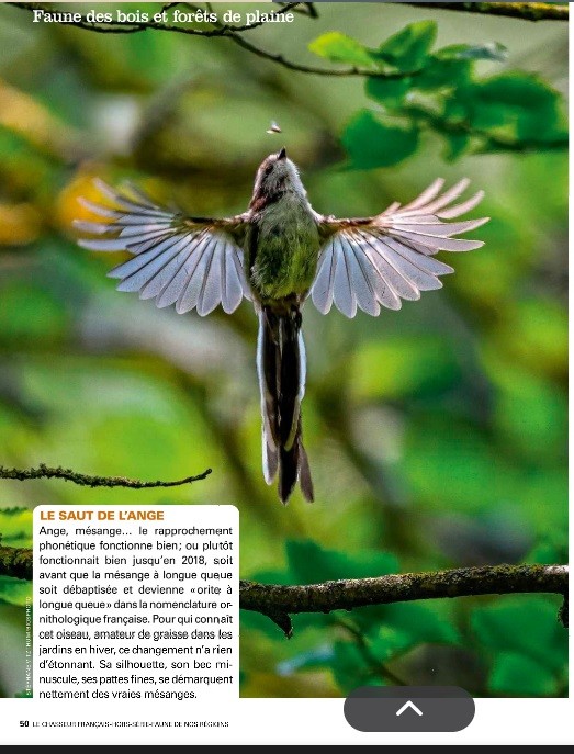 Le Chasseur Français, septembre 2025. Photo Stéphane Vitzthum / Biosphoto