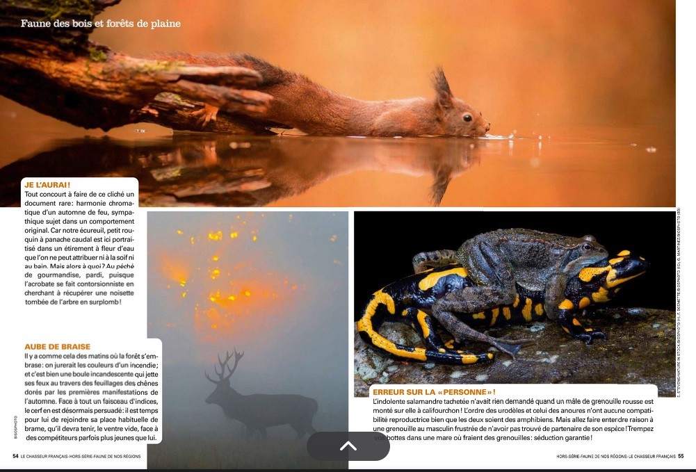 Le Chasseur Français, septembre 2025. Photos Erwin Stevens - Nature in Stock, Frédéric Desmette, Quentin Martinez / Biosphoto