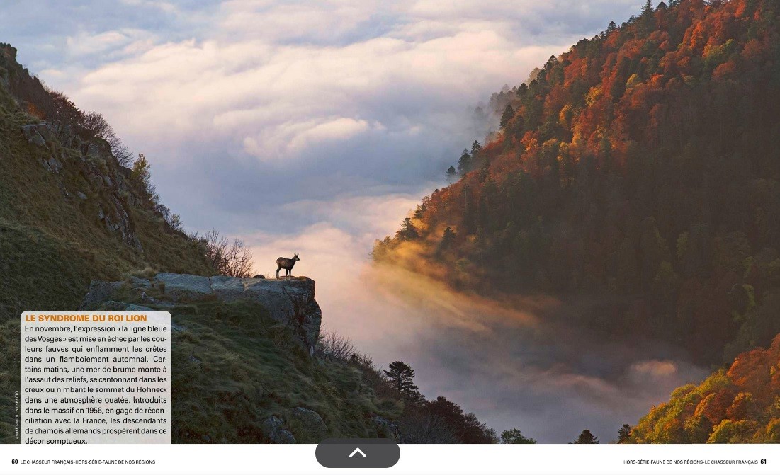 Le Chasseur Français, septembre 2025. Photo André Simon / Biosphoto