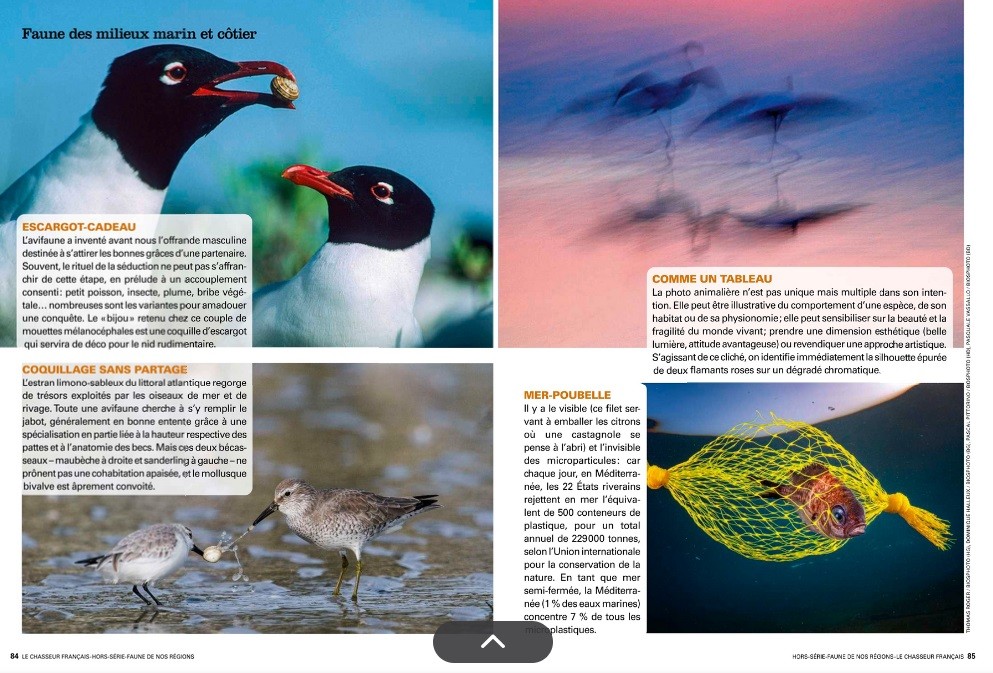 Le Chasseur Français, septembre 2025. Photos Thomas Roger, Pascal Pittorino, Dominique Halleux, Pasquale Vassallo / Biosphoto