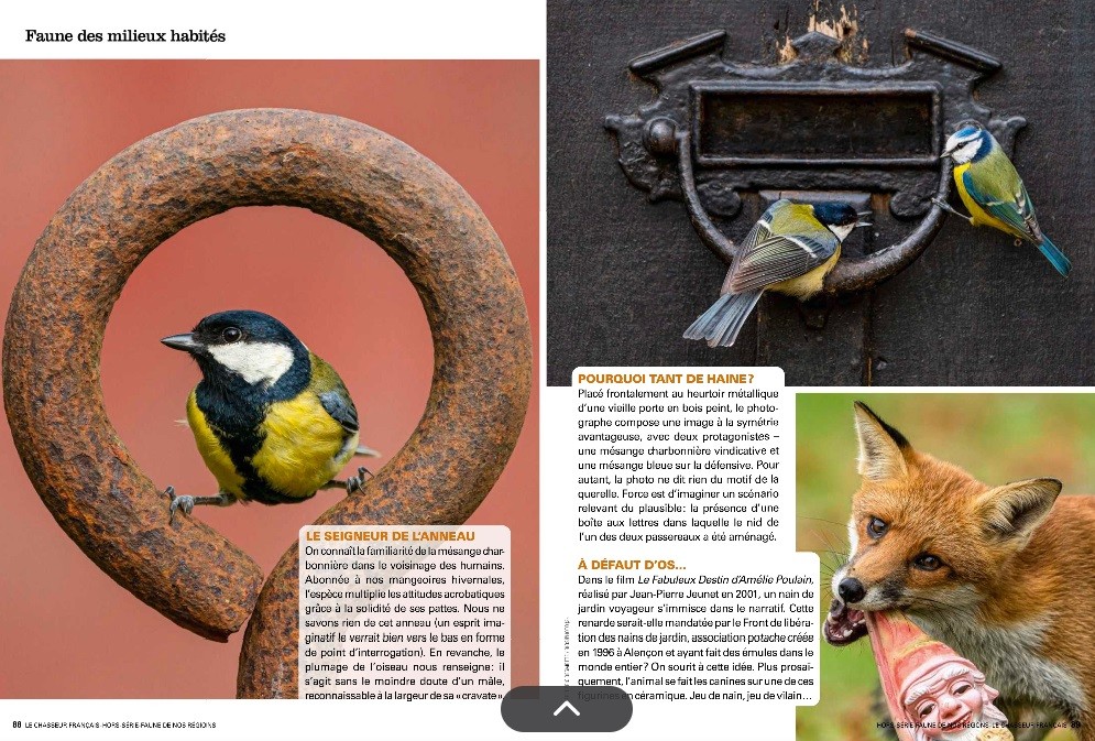Le Chasseur Français, septembre 2025. Photos Frédéric Desmette / Biosphoto