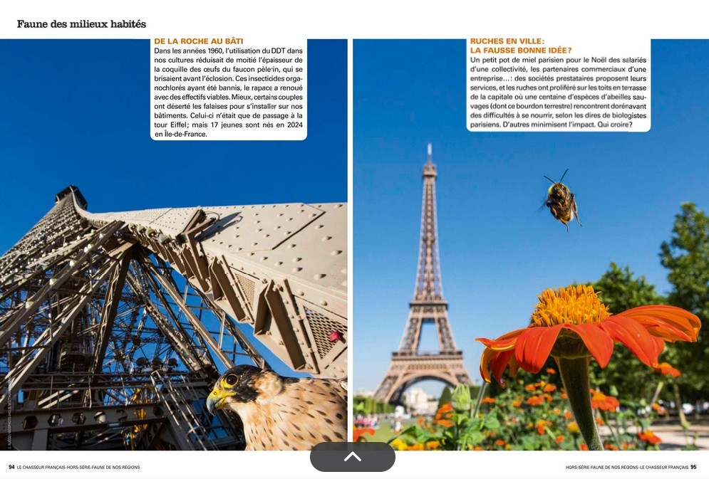 Le Chasseur Français, septembre 2025. Photos Cyril Ruoso, Stéphane Vitzthum / Biosphoto