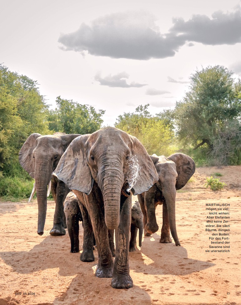 GEO Magazin, mai 2026. Photo Patrice Correia / Biosphoto