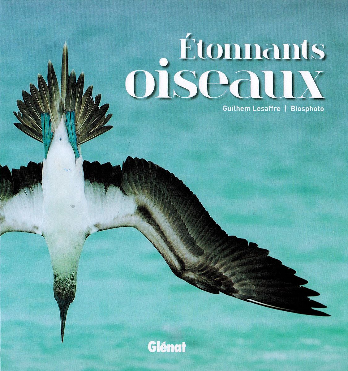 Editions Glénat, mai 2024. Photo Tui De Roy / Minden Pctures / Biosphoto