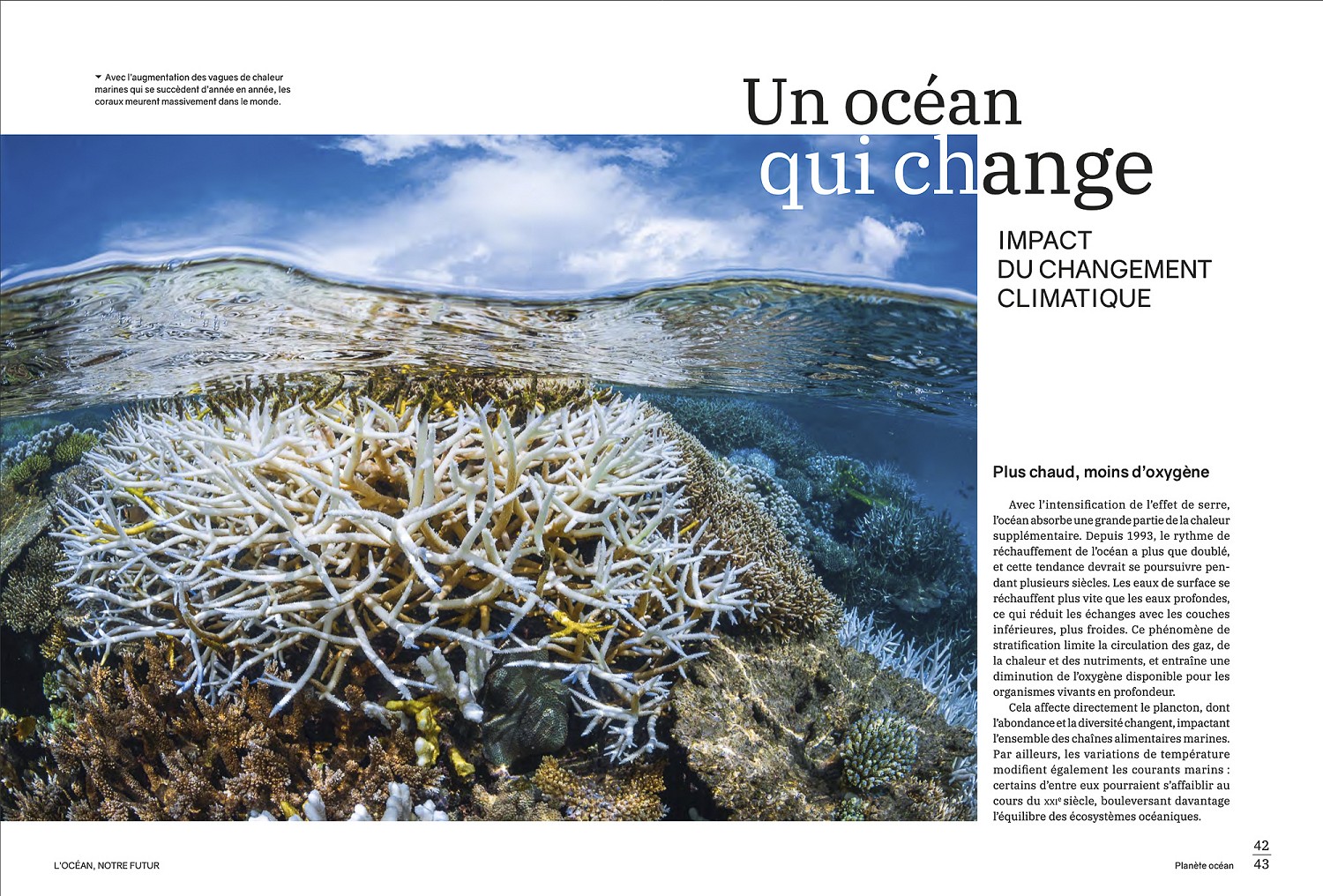 Glénat, février 2026. Livre "L'océan, notre futur". Photos Biosphoto