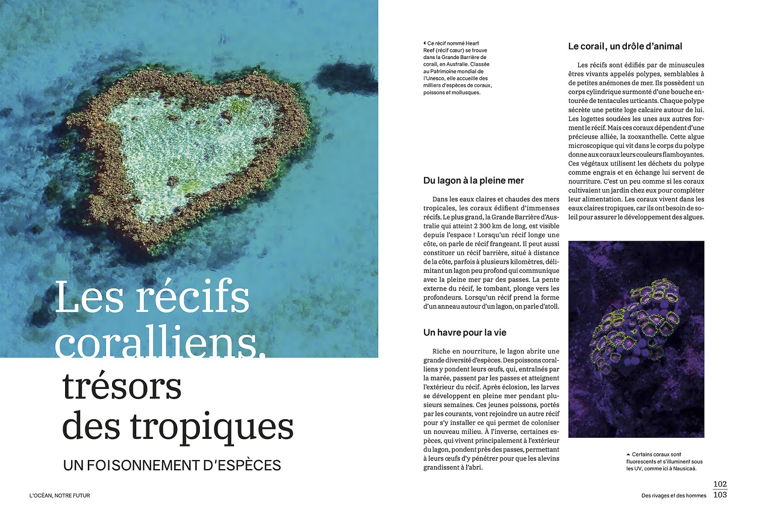 Glénat, février 2026. Livre "L'océan, notre futur". Photos Biosphoto