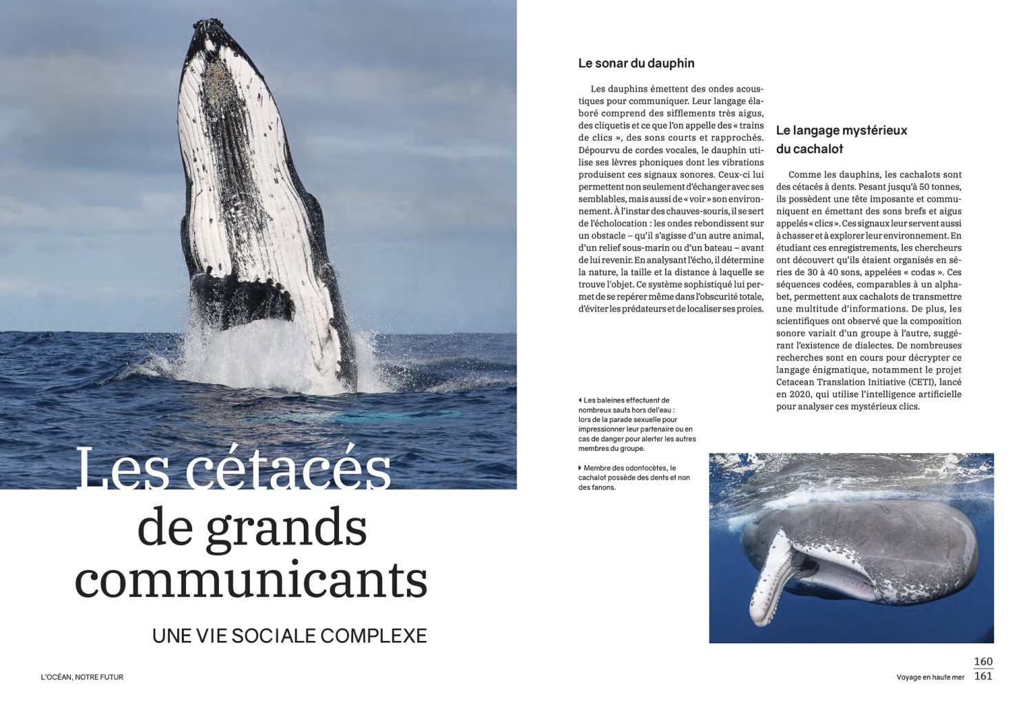 Glénat, février 2026. Livre "L'océan, notre futur". Photos Biosphoto