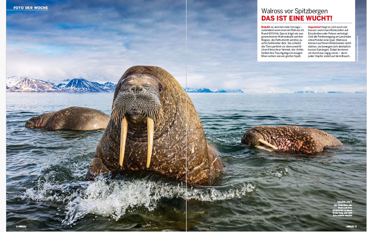 HörZu, février 2025. Photo Franco Banfi / Biosphoto
