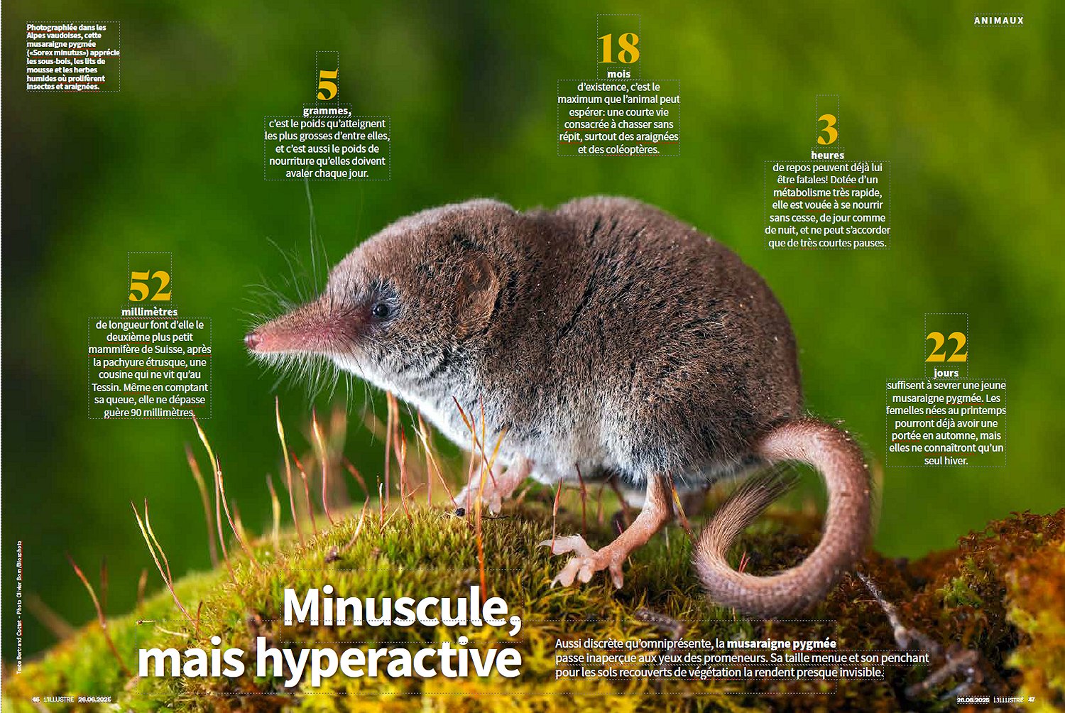 L'Illustré, juin 2025. Photo Olivier Born / Biosphoto