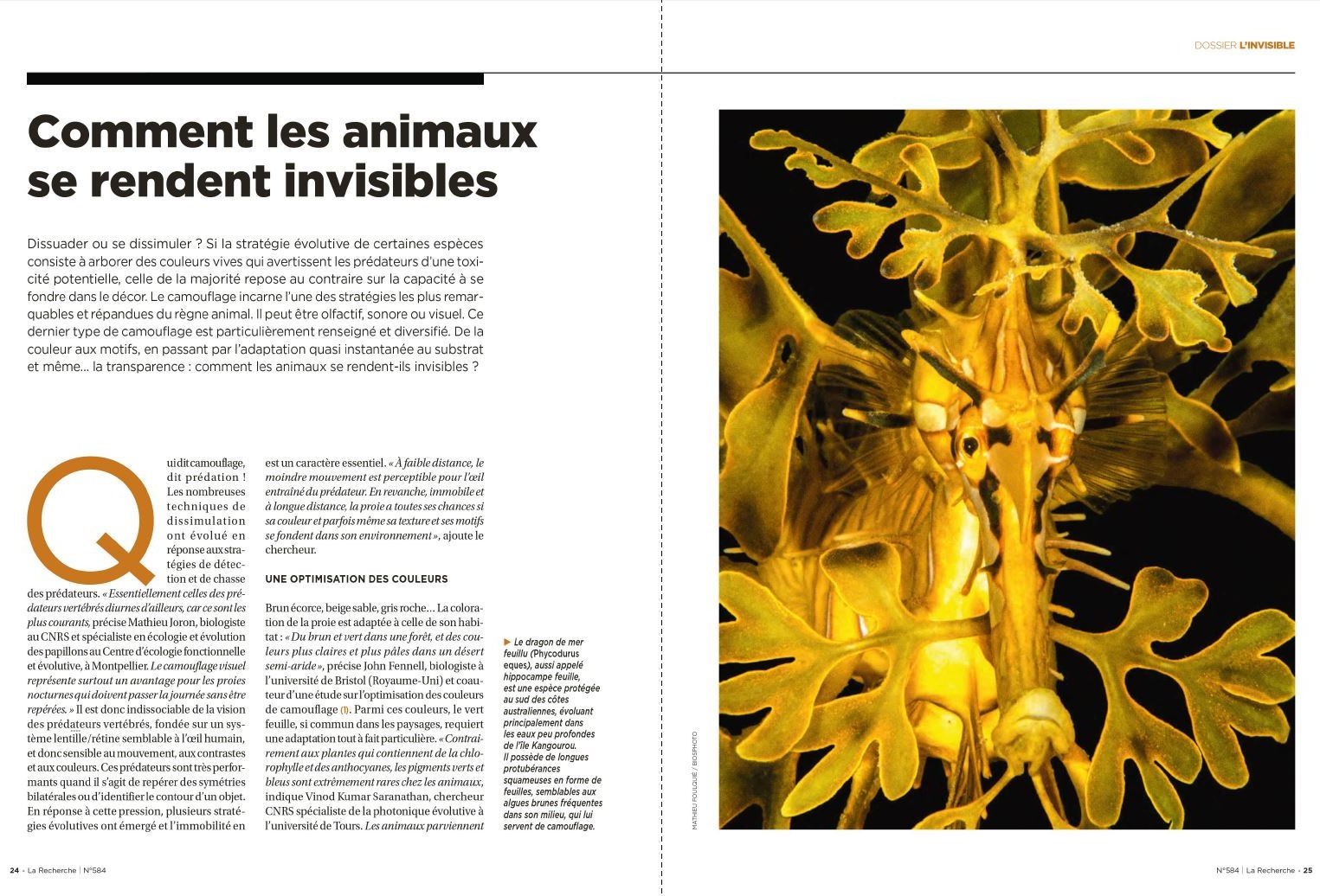La Recherche, janvier 2026. Photo Mathieu Foulquié / Biosphoto