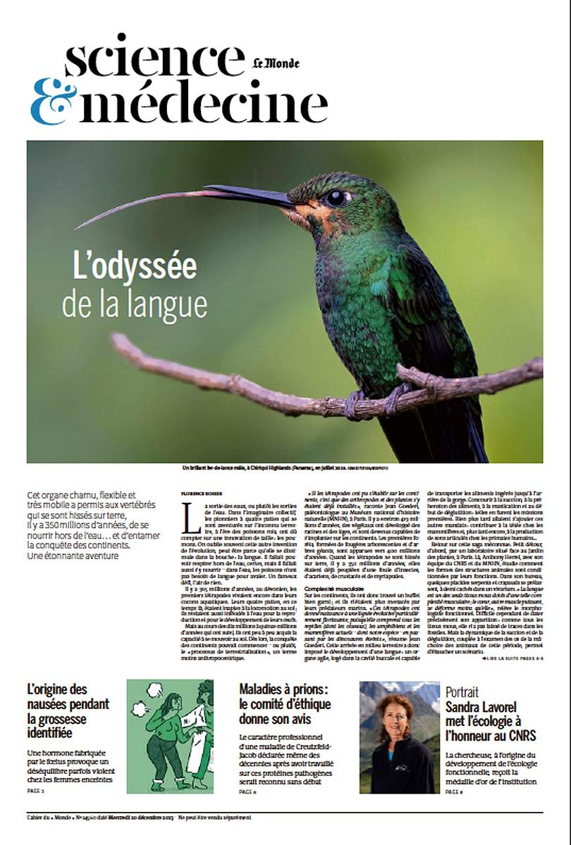Le Monde, 20 décembre 2023. Photo Ignacio Yufera / Biosphoto