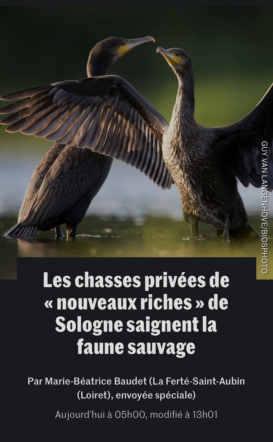 Le Monde, avril 2026. Photo Guy Van Langenhove / Biosphoto
