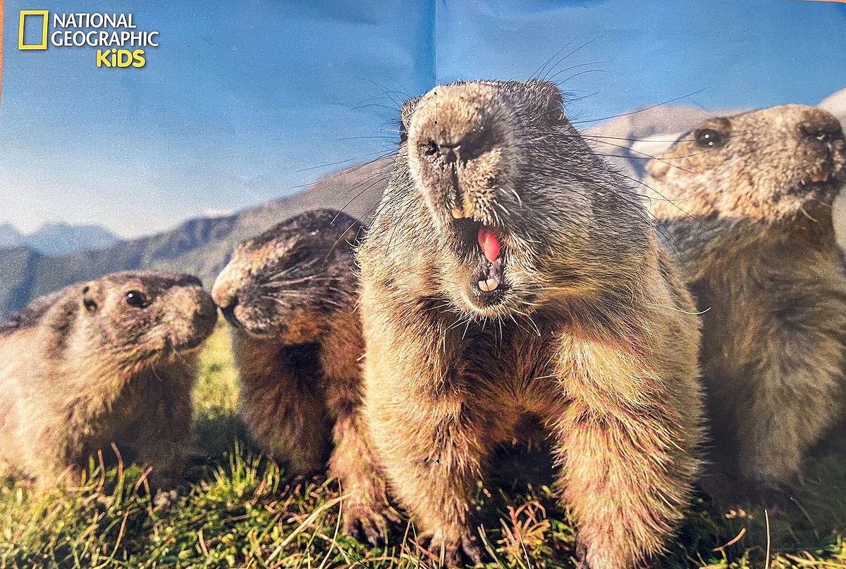 National Geo Kids, avril 2023. Photo Robert Haasmann / Biosphoto